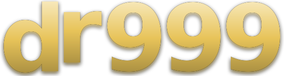 dr999 logo